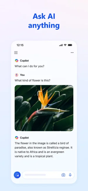 Microsoft Copilot APP 封面2