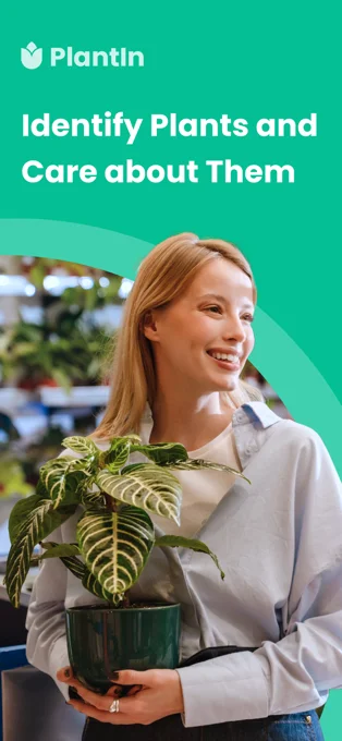 PlantIn APP 封面1