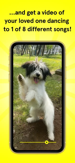 Dancing Dogs APP 封面3