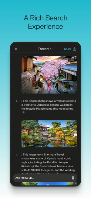 Perplexity APP 封面3