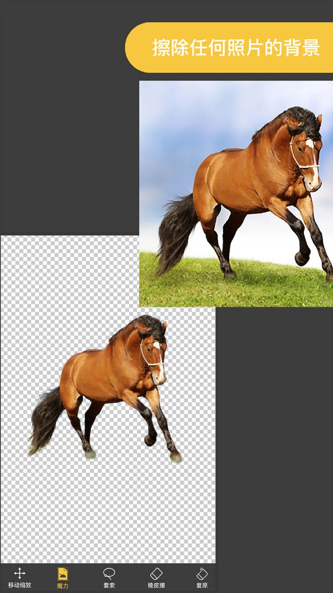 Knockout APP 封面1