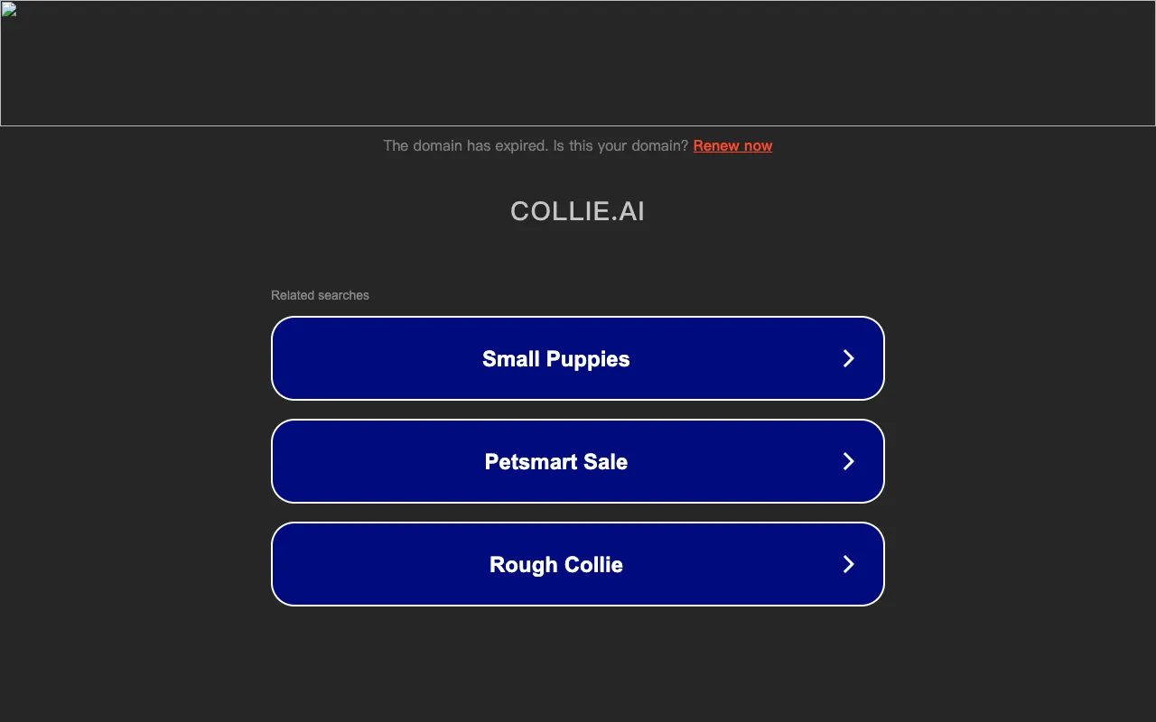 Collie.ai