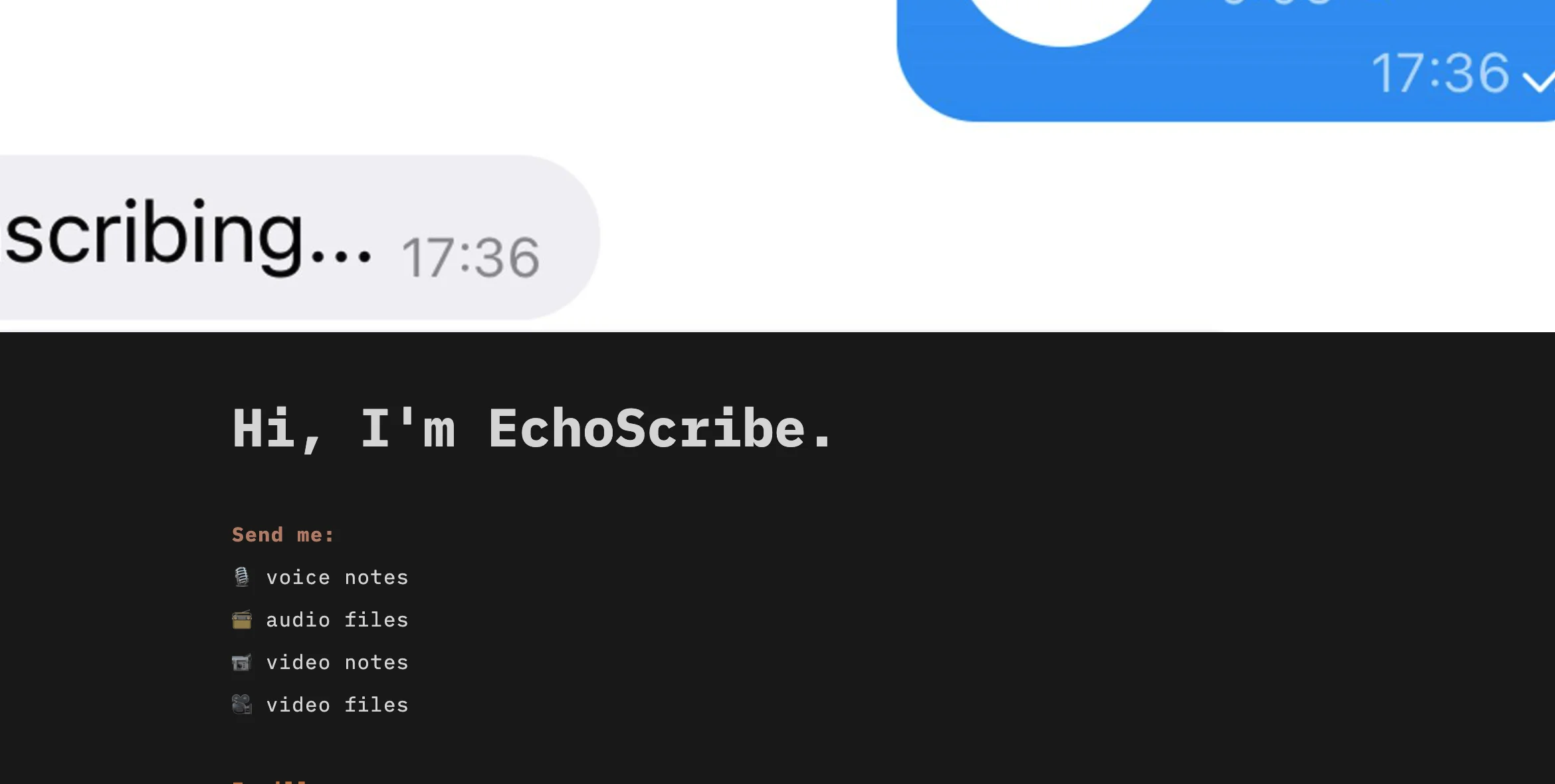 EchoScribe