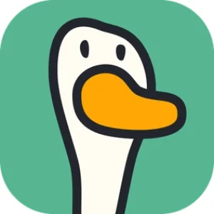 OfferGoose 多面鹅