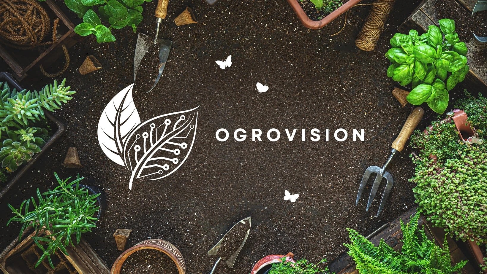 Ogrovision