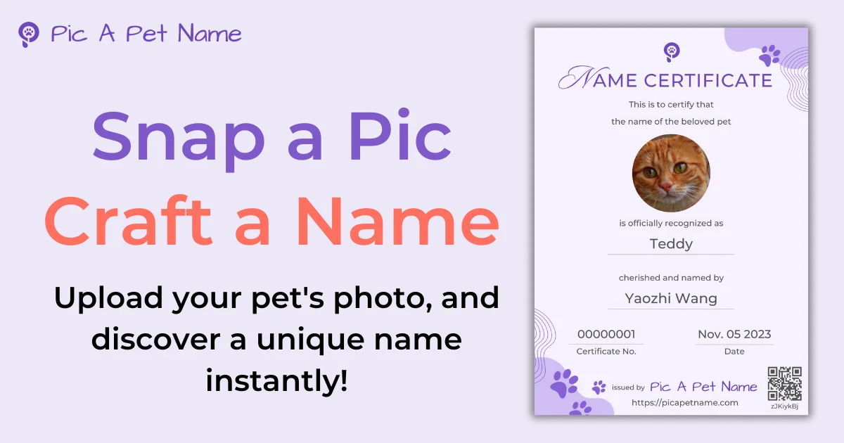 Pic A Pet Name