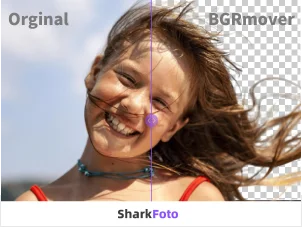 SharkFoto