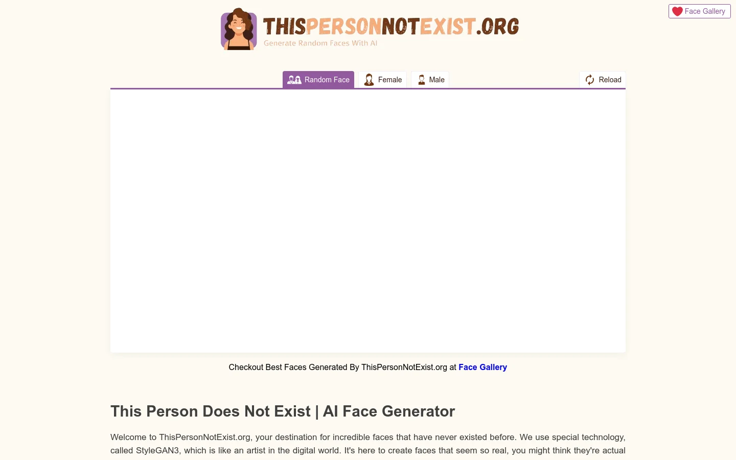 This Person Not Exist