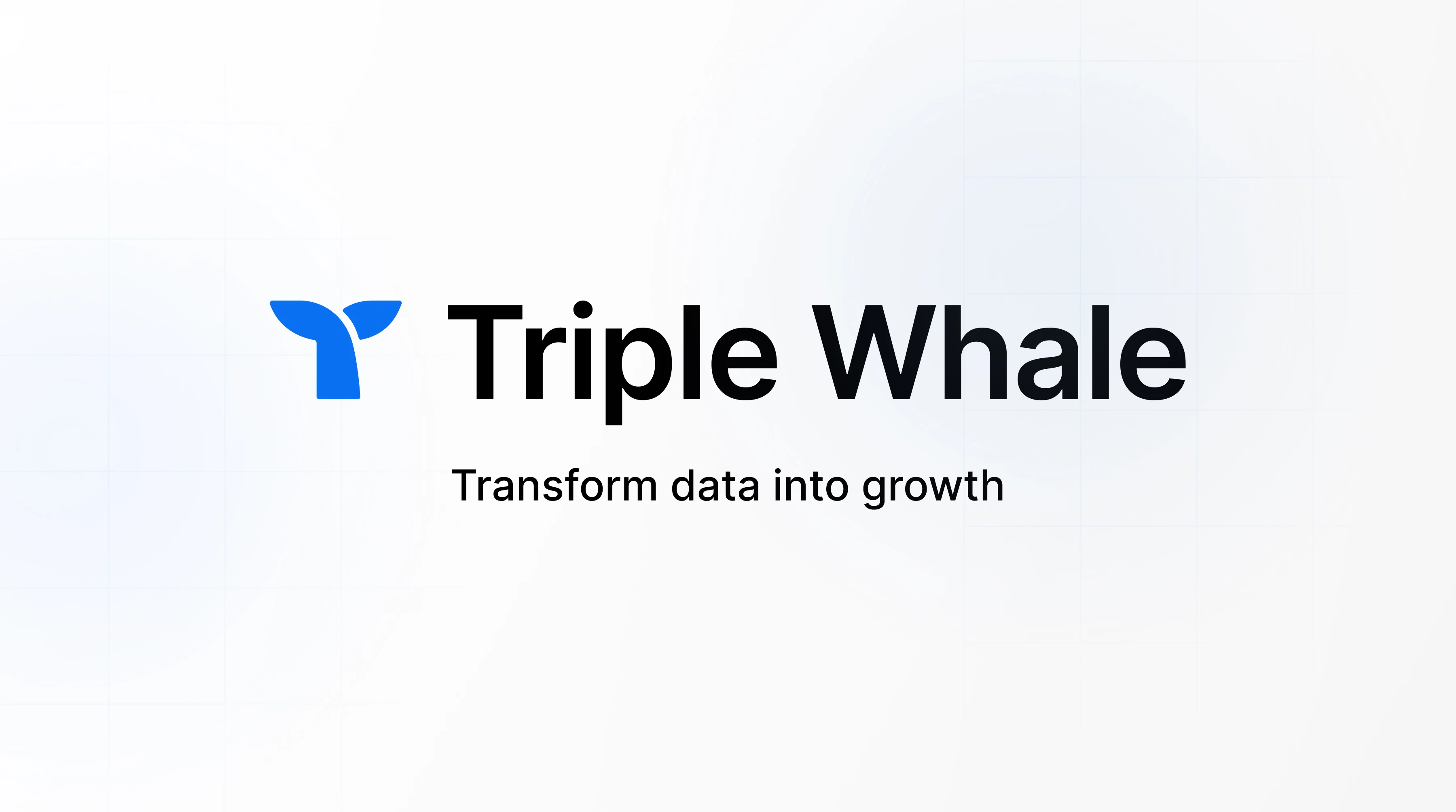 Triple Whale