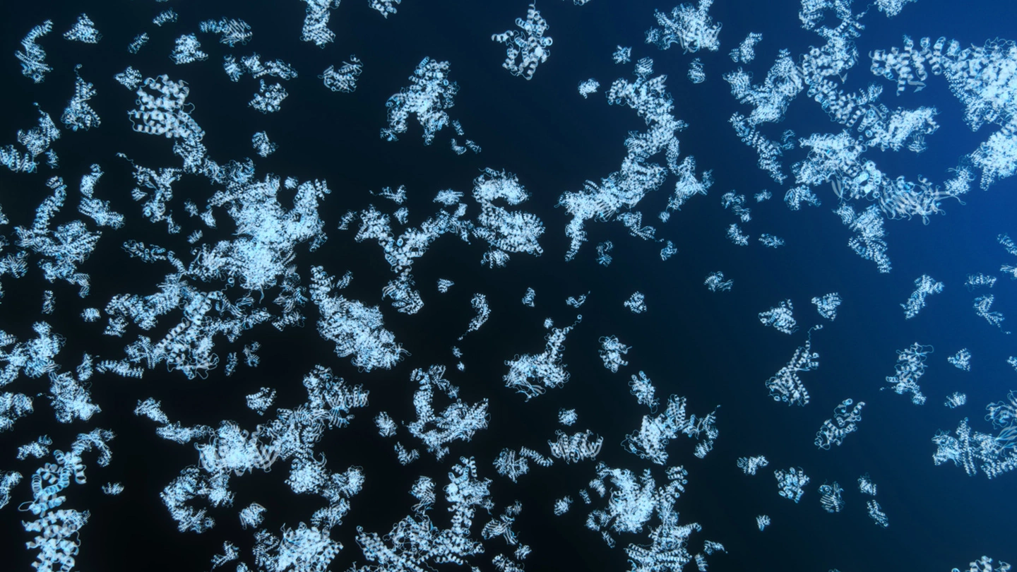 英伟达携手谷歌 DeepMind 与学术界发布全球最大蛋白质复合物数据集