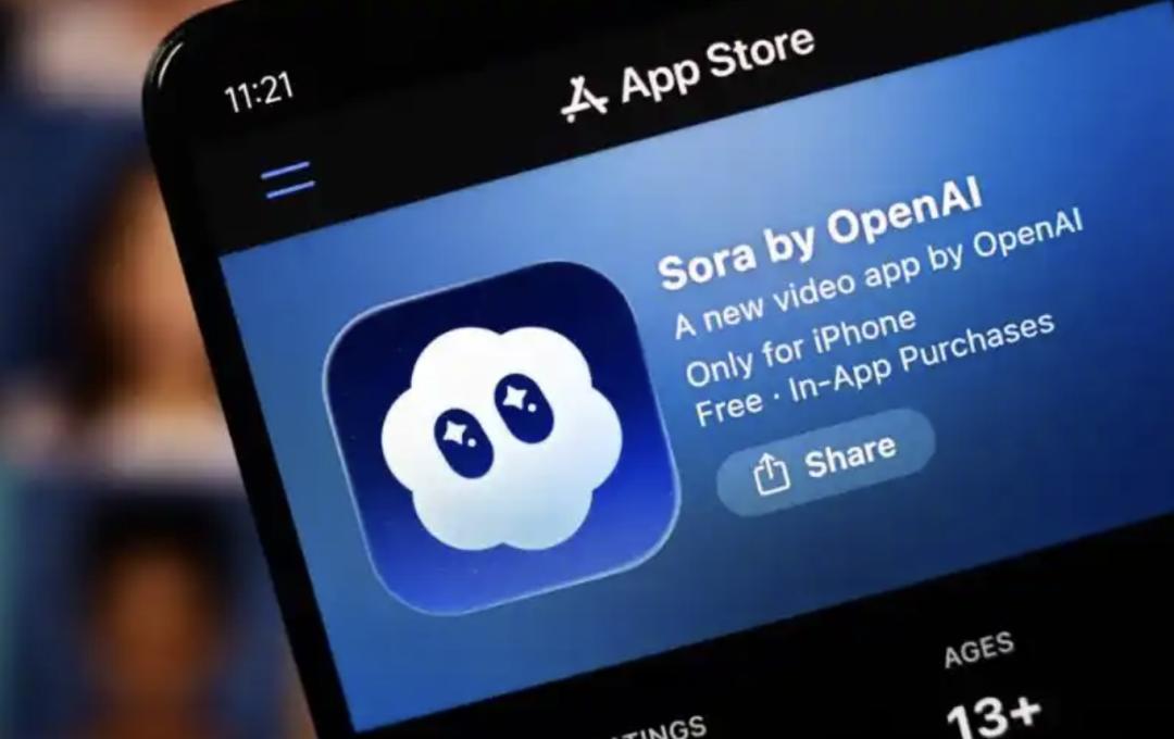 Sora落幕，Seedance、可灵走上分岔路