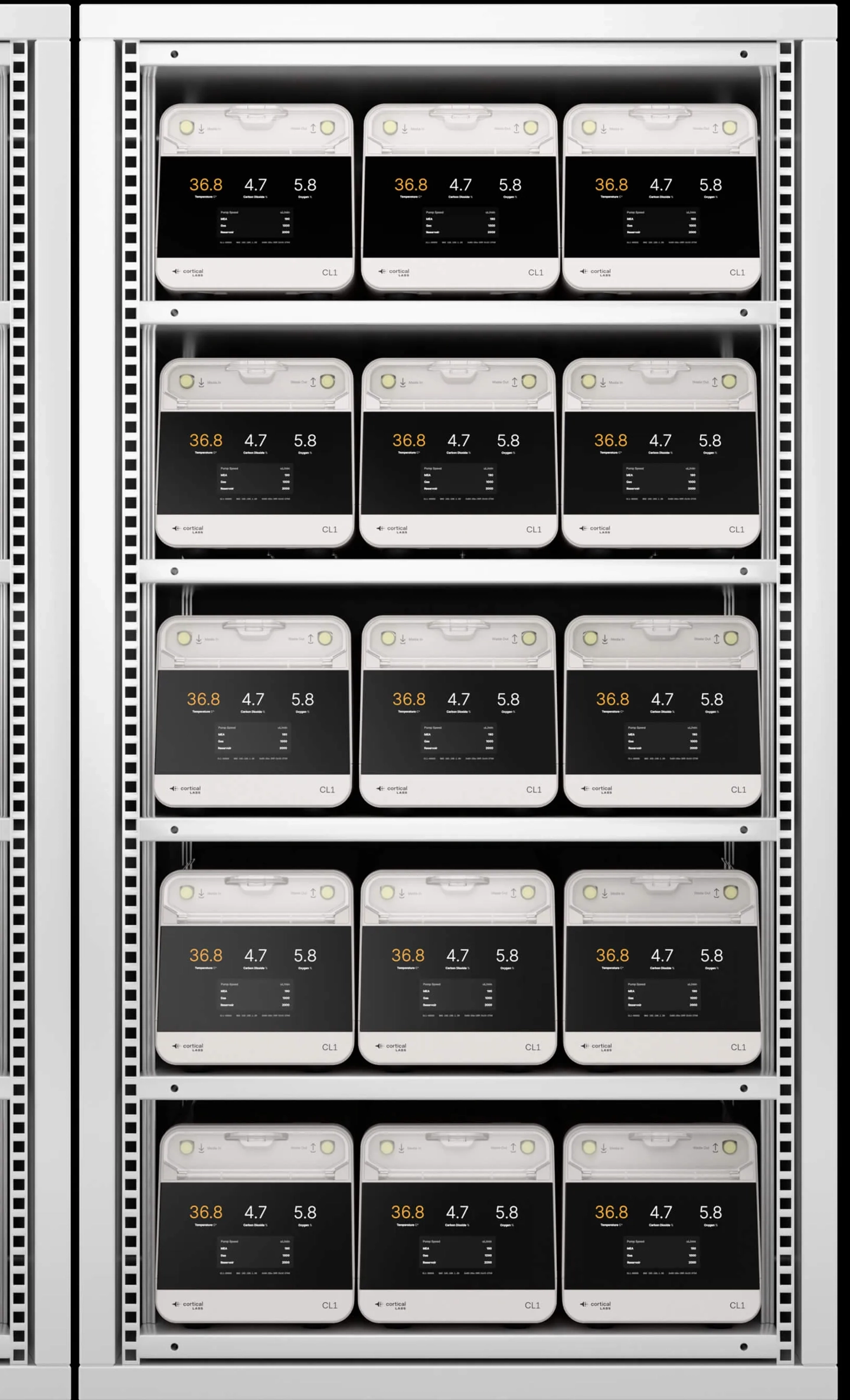 全球首批“人脑细胞”数据中心官宣落地墨尔本与新加坡