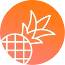 pineapplebuilder.com