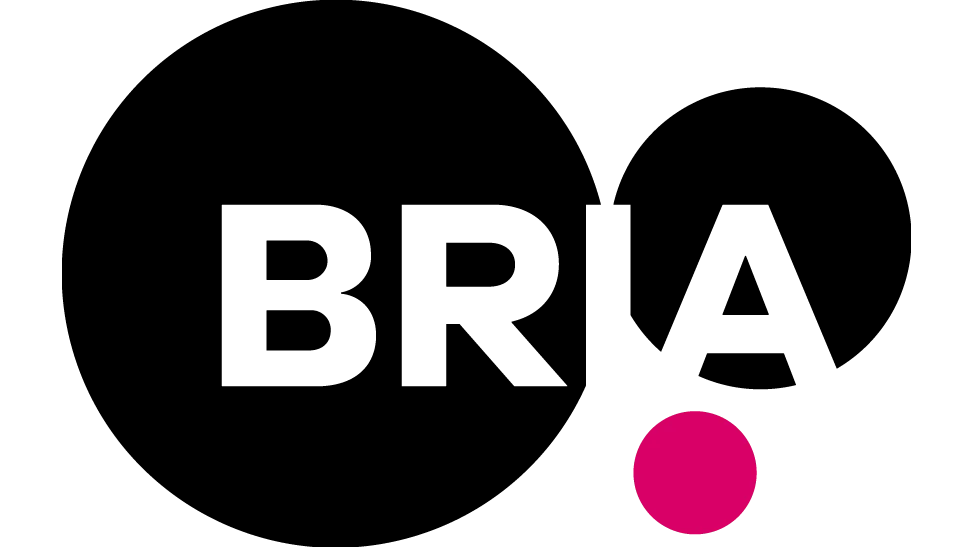 Bria AI