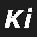 Kingwei Treasure Bag